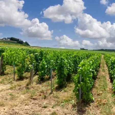 Appartstudio   you&me In Champagne  Appartamento Épernay