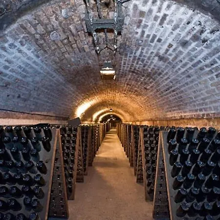 Apartment Appartstudio « you & Me In Champagne » Epernay