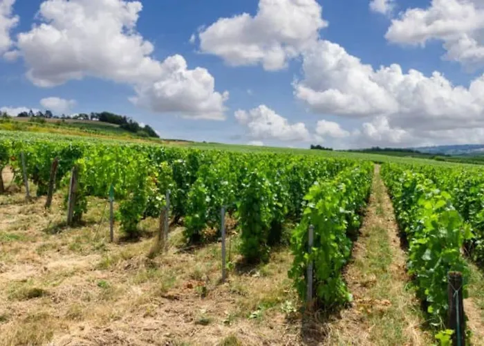 Appartstudio « you & Me In Champagne » Lägenhet Épernay