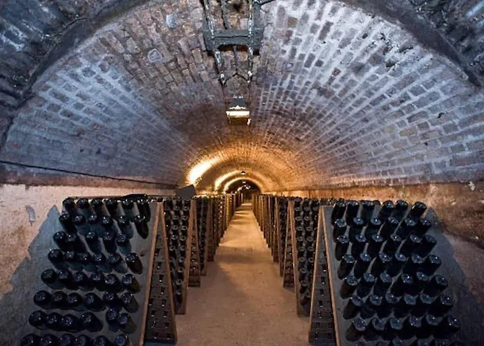 Lägenhet Appartstudio « you & Me In Champagne » Épernay